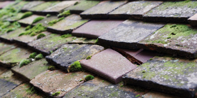 Wardrobes roof repair costs
